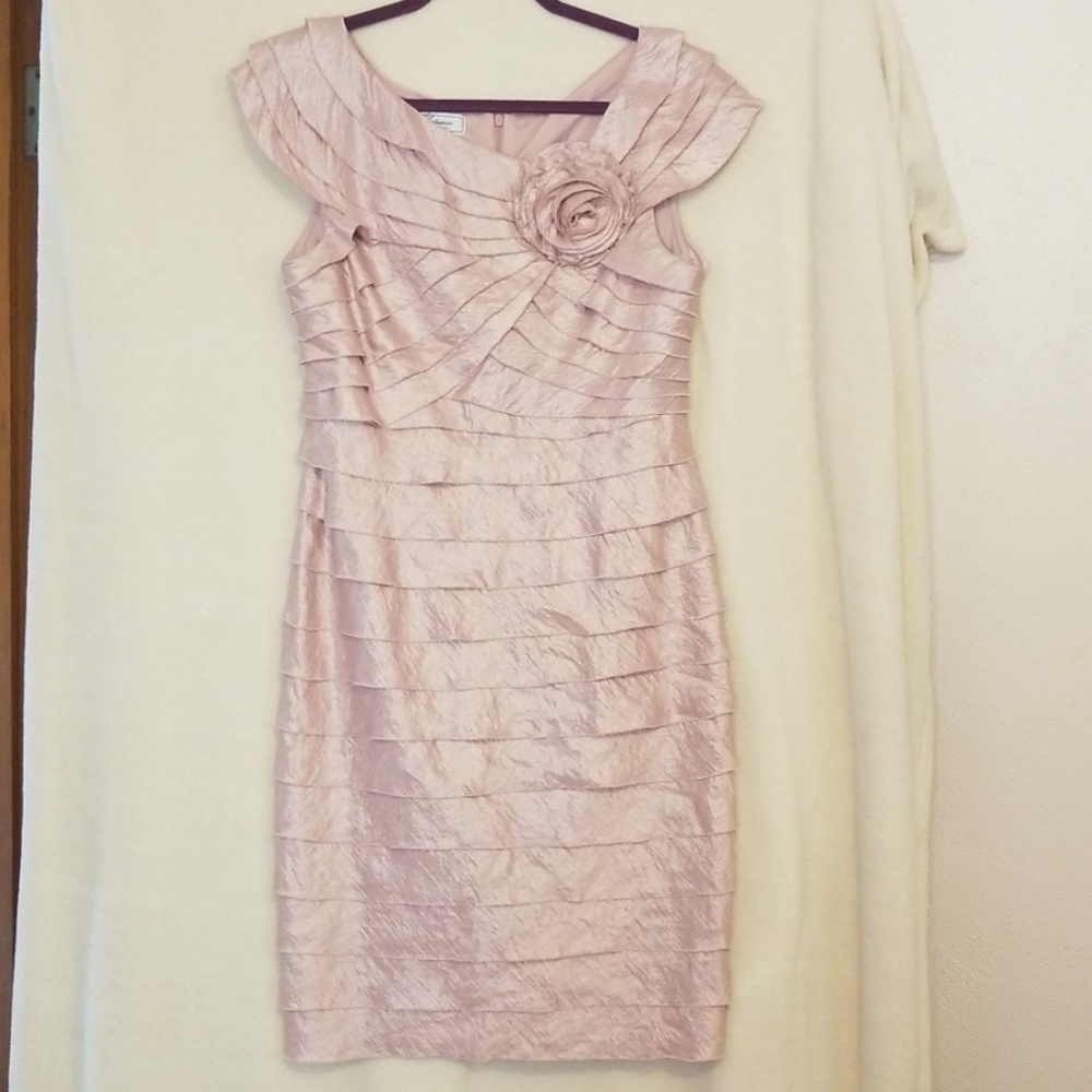 Shimmering Pink Dress